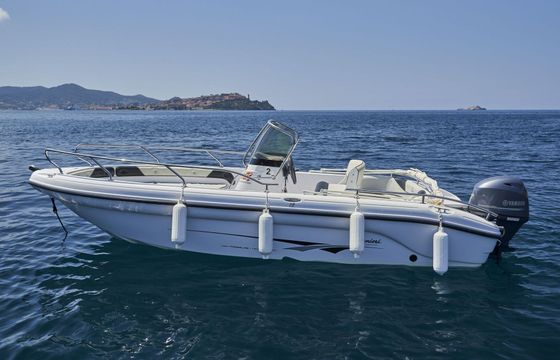 Boat without licence  RANIERI 19 Open 40hp