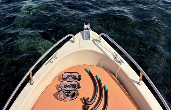 Boat without licence  Janusz Bartosinski BA - 420 6hp