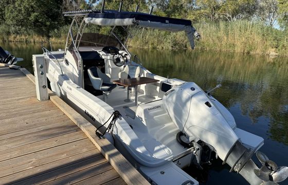 Motorboat Ranieri EVO 22 200hp