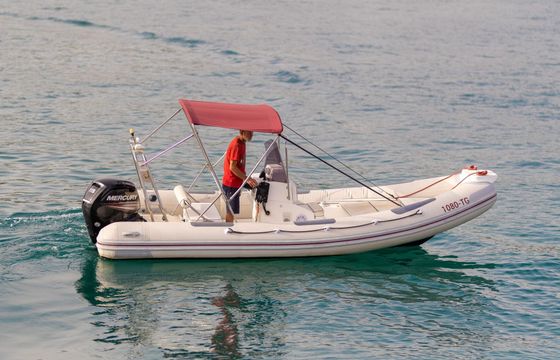 Motorboat Maestral 560 115hp