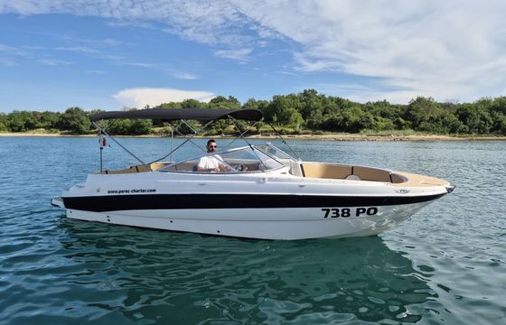 Motorboat BAYLINER 249 SD 300hp