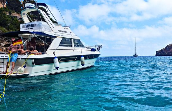 Motorboat Princess 330 Flybridge 440hp