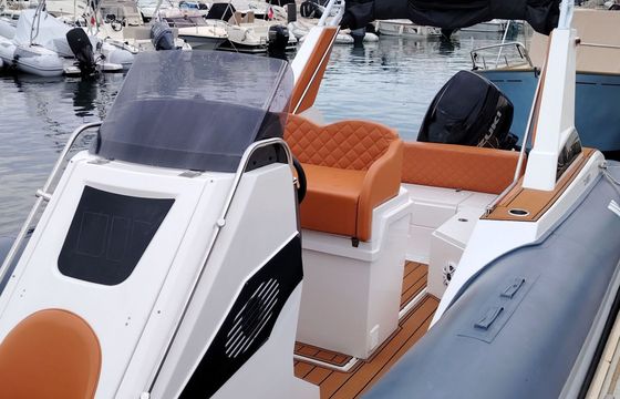 RIB Tiger Marine Tiger 850 TL 300hp