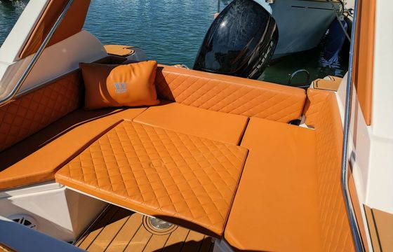 RIB Tiger Marine Tiger 850 TL 300hp