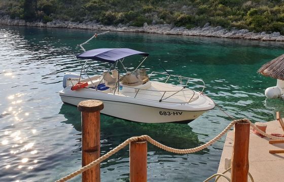 Motorboat Insidias Fly - 200HP FREE FUEL &amp; SKIPPER 200hp