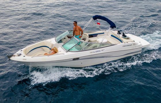Motorboat Four Winns (Refit 2023) 240 Horizon 270hp