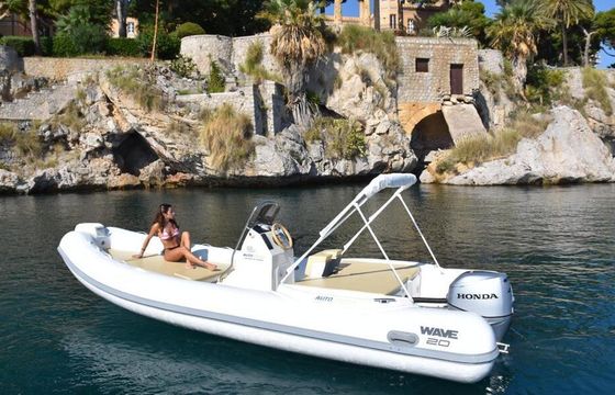 Boat without licence  ALTAMAREA WAVE 20, 40CV 40hp