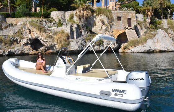 Boat without licence  ALTAMAREA WAVE 20, 40CV 40hp