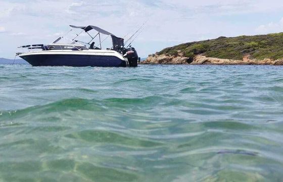 Motorboat Shipyard Barletta 204 115hp