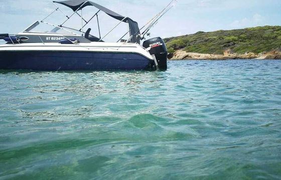 Motorboat Shipyard Barletta 204 115hp