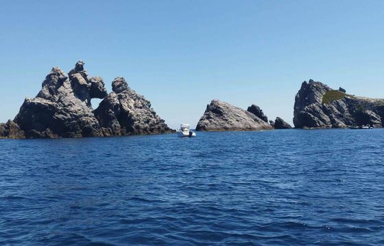 Motorboat Shipyard Barletta 204 115hp