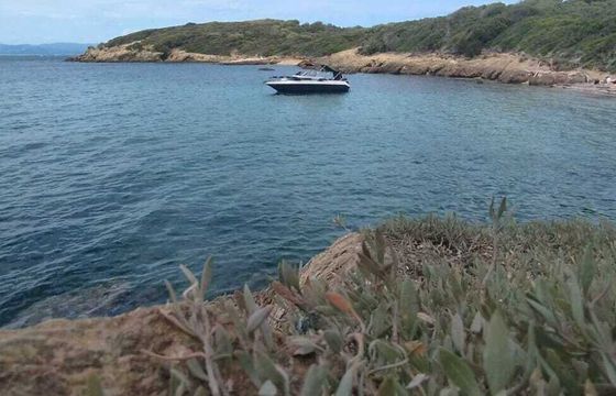 Motorboat Shipyard Barletta 204 115hp