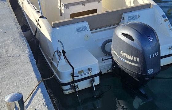 Motorboat Quicksilver active 555 115hp
