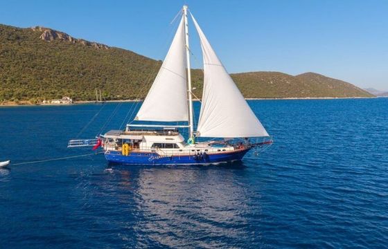 Gulet Gulet Yacht Gulet Yacht Rental in Bodrum 24.99m