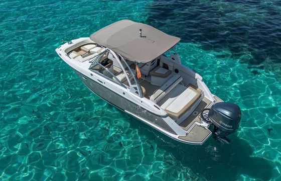 Motorboat Cobalt 23 SC