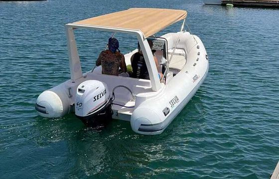Boat without licence Selva Marine D 500 40hp