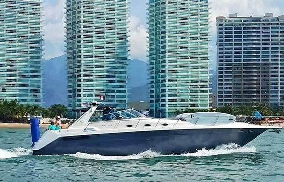 Motorboat Sea Ray Sundancer 50