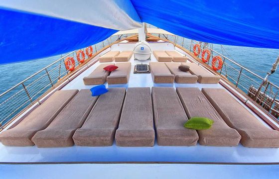 Gulet Tradional Sailing Gulet BizGider 26m