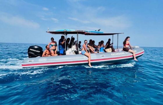 RIB Bwa 740