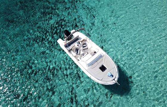 Motorboat Pacific Craft Sun Cruiser 630 150hp