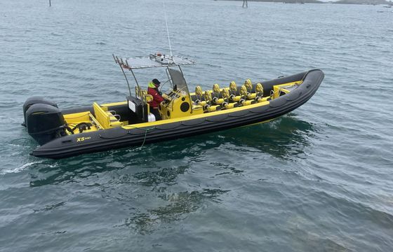 RIB xsribs xs ribs 9,90 600hp