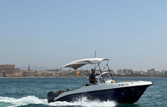 Motorboat PREMIUM COMFORT 115hp