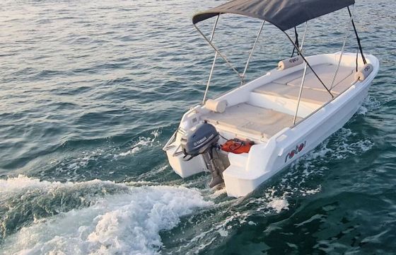 Motorboat ROTO NAUTICA Roto 450 Basic S 6hp