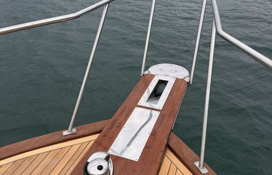 Motorboat Cris Craft Chris-Craft Classic 30 220hp