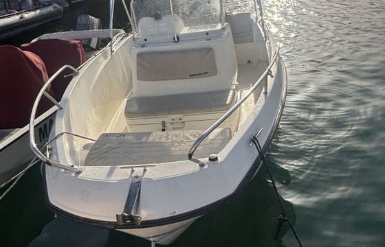 Motorboat Quicksilver Activ 555 Open 100hp