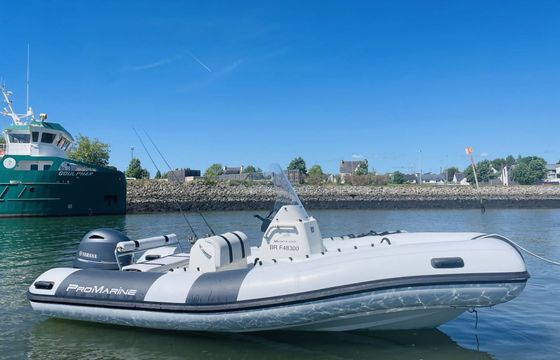 RIB Pro Marine Manta 550 115hp