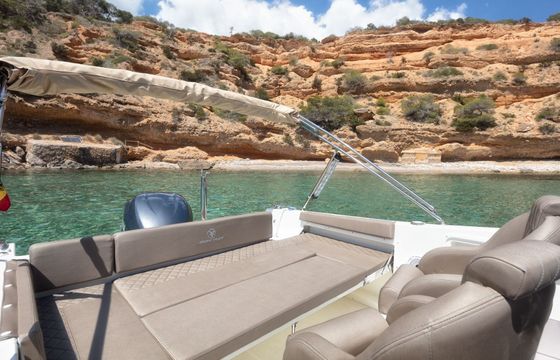 Motorboat Pacific Craft Open 250hp