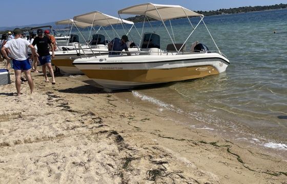 Boat without licence  Poseidon Blu Water 170 30hp