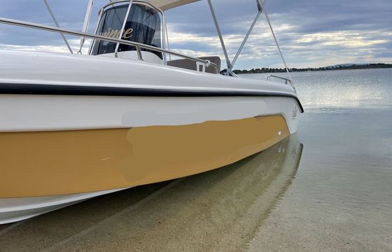 Boat without licence  Poseidon Blu Water 170 30hp