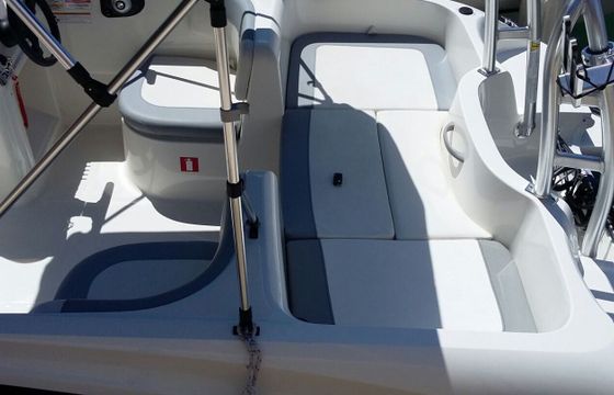 Boat without licence BAYLINER ELEMENT 160 15hp
