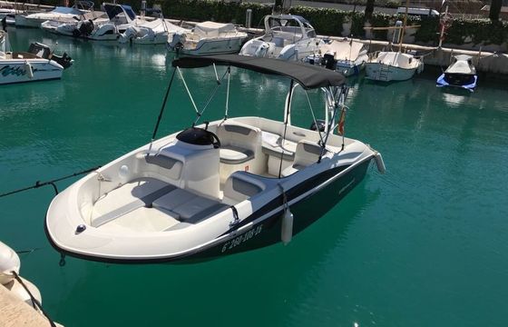 Boat without licence  BAYLINER ELEMENT 160 15hp