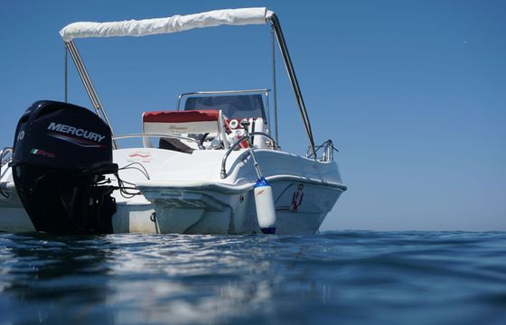 Boat without licence  Blumax Open 19 Pro 40hp