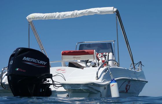 Boat without licence Blumax Open 19 Pro 40hp