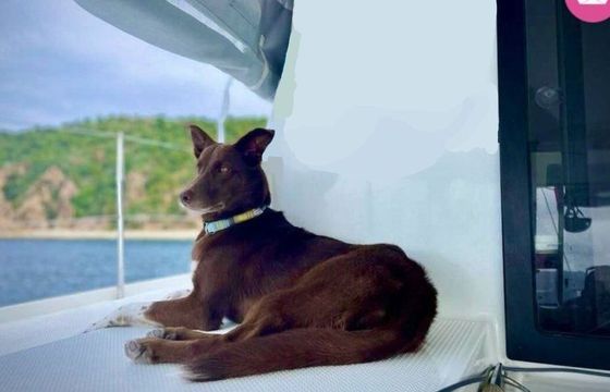 Catamaran Fountaine Pajot Lucia 12m