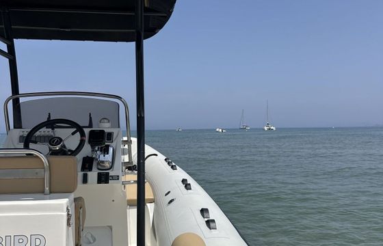 RIB Tarpon 790 Luxe 250hp