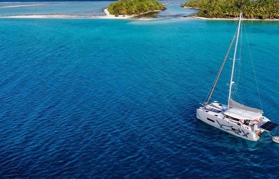 Catamaran Excess Excess 11 11m
