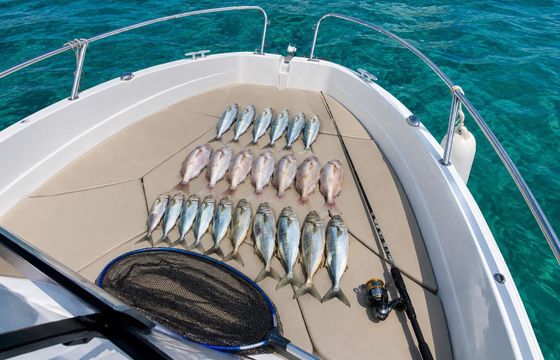 Motorboat Jeanneau Cap Camarat 5.5 Cc 100hp