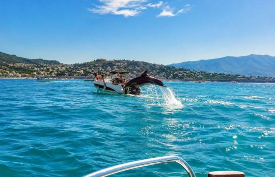 Motorboat Jeanneau Cap Camarat 5.5 Cc 100hp