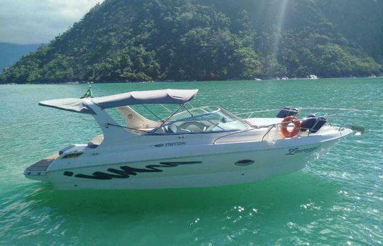 Motorboat Way Brasil Triton 275 260hp