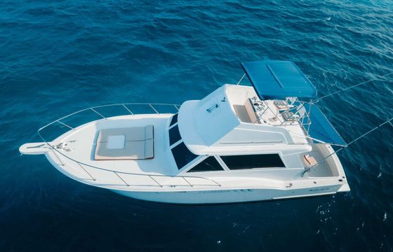 Motor yacht Hatteras 40 ft convertible/ sport fishing