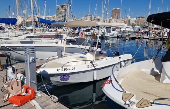 Boat without licence  CAP FERRET 452 FISH 15hp