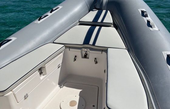 RIB Apex 600 115hp