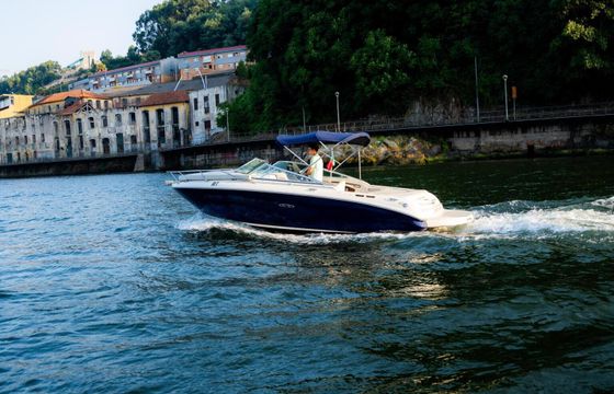 Motorboat Sea Ray Sun Sport 220 220hp