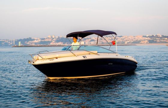 Motorboat Sea Ray Sun Sport 220 220hp