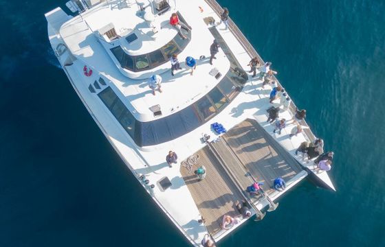Catamaran Beneteau Patrol 690 16.5m