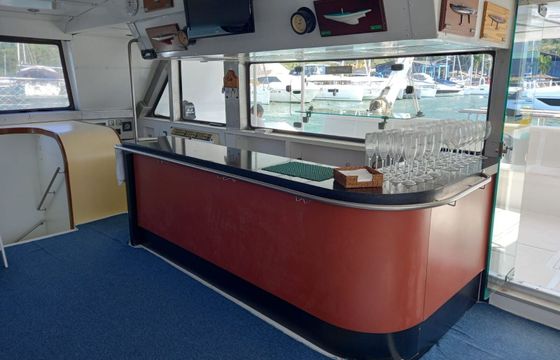 Catamaran Beneteau Patrol 690 16.5m